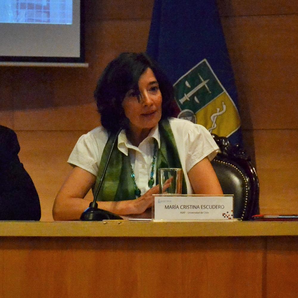 María Cristina Escudero, académica del INAP.