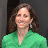 Claudia Heiss, académica del INAP.