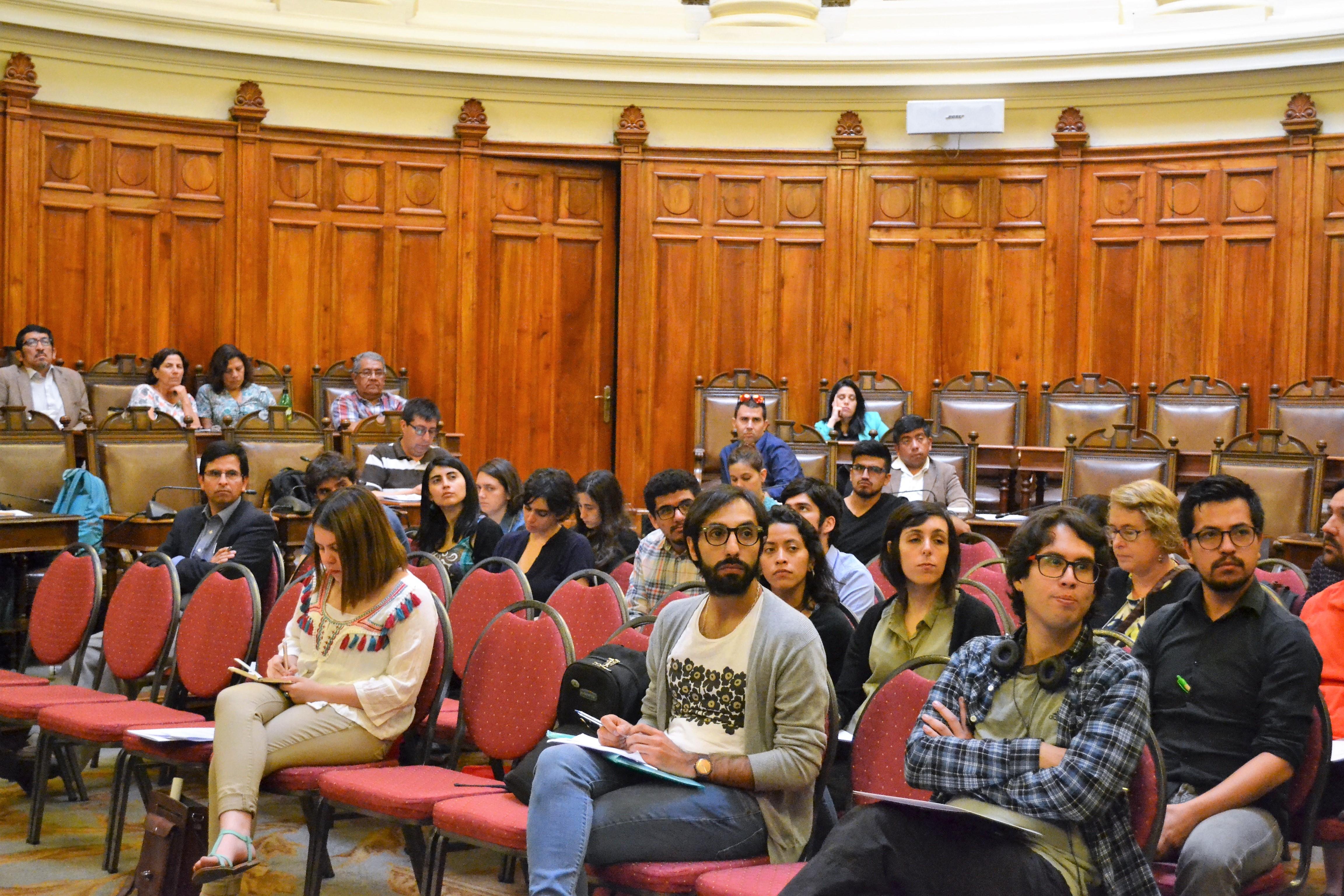 Seminario abordó diversidad y políticas sobre pueblos indígenas, migrantes y género