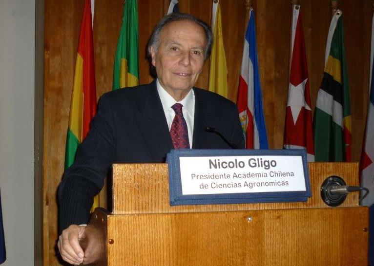 Nicolo Gligo