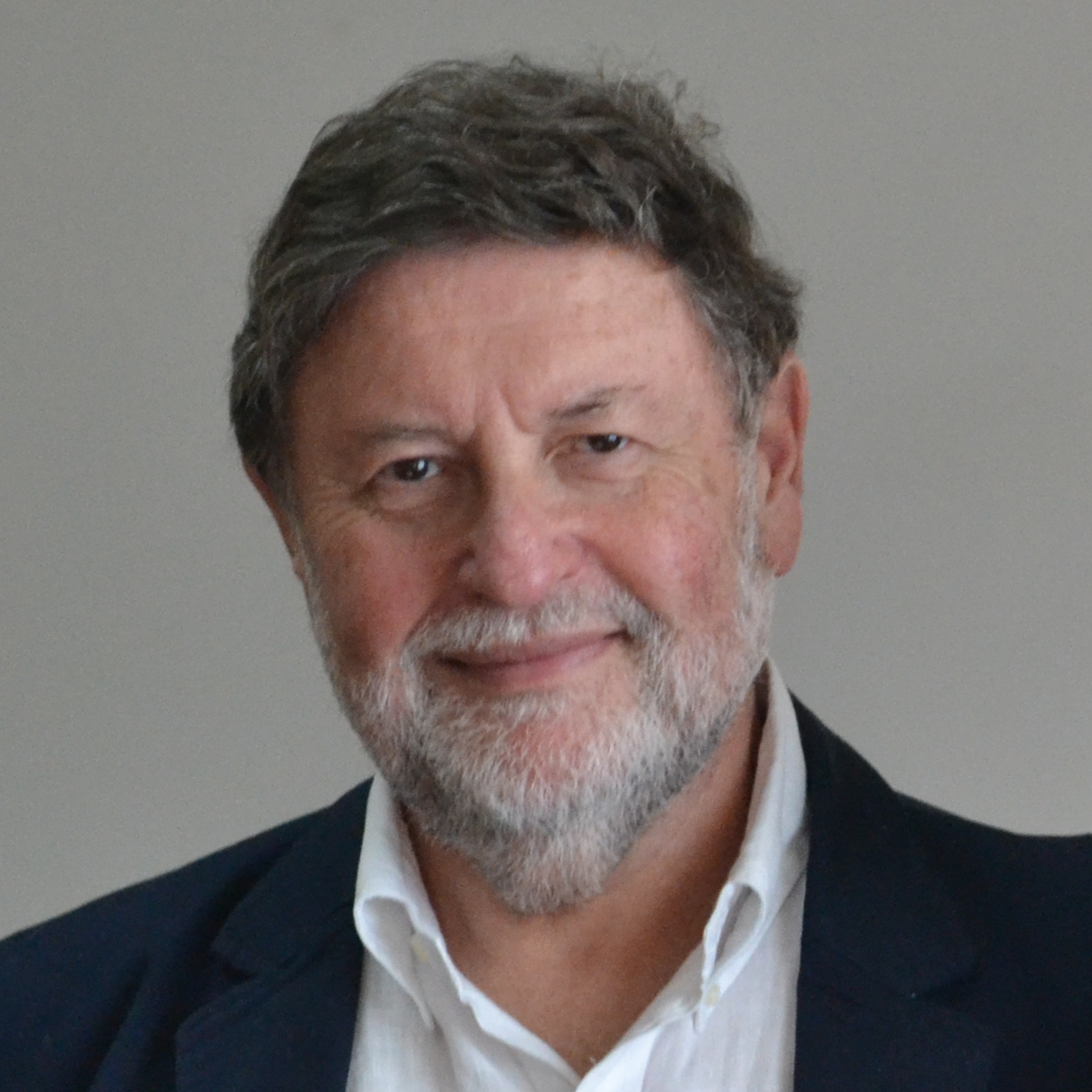 Hugo Frühling, Director del Instituto de Asuntos Públicos de la Universidad de Chile.